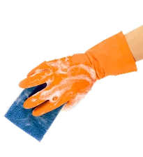Discover the Best Cleaning Services for Your Home - 满冠体育